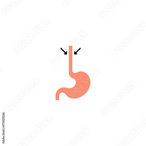Esophagus icon flat vector design.