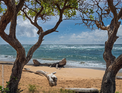 Kapaa, Kauai, Hawaii, USA - July 17, 2025: Beach at Lydgate State Park Playground under blue cloudscape. Tree present. Waves crashing on sand