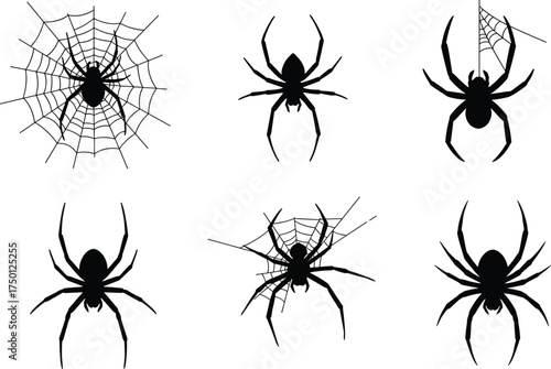 Spider silhouette, spider web vector, black spider clipart, Halloween insect graphic, creepy crawlies, arachnid illustration, spooky decoration, isolated design