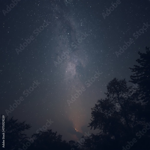 Vibrant milky way galaxy arches over silhouetted forest canopy at night