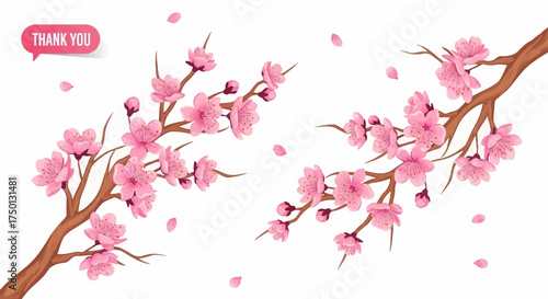 Beautiful Pink Cherry Blossom Branches with Falling Petals a Symbol of Spring and Renewal