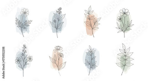 Collection of delicate line art botanical illustrations with soft watercolor washes in muted earth tones perfect for elegant decorative purposes and branding elements