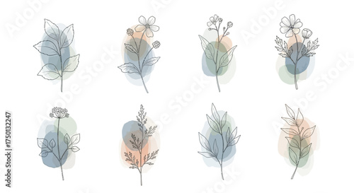 Delicate Botanical Line Art Illustrations with Soft Watercolor Washes on White Background