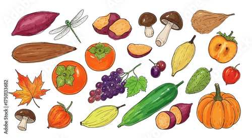 A vibrant collection of fresh autumn produce and seasonal elements representing harvest bounty and natural beauty captured in a charming illustration style for a delightful visual appeal