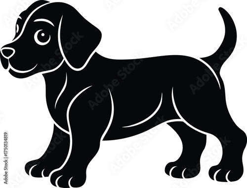 Close-up view of a single green leaf with detailed veins and dewdrops isolated on transparent background