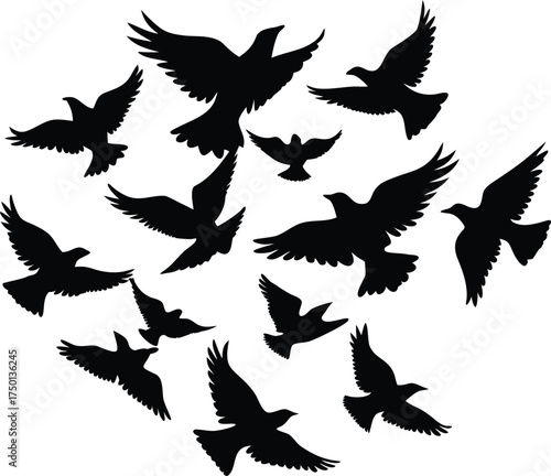 Close-up macro photograph of a single dew drop on a green leaf surface isolated on transparent background