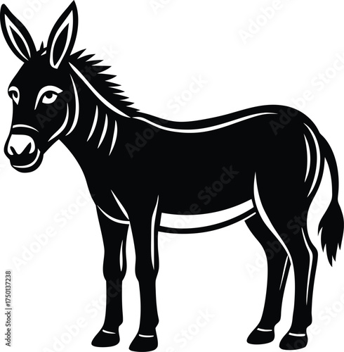 Close-up macro shot of a dew droplet reflecting sunlight on a green leaf surface isolated on transparent background