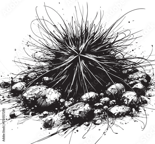 Abstract ink line drawing of a brittle star on the seafloor with rocks