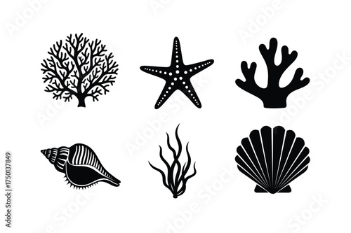 Set of six marine life silhouettes including starfish coral seashell and seashells for ocean design