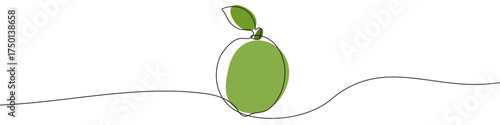 Lime in one line art style. Drawing of a whole lime with a leaf, with editable black stroke and color on white background. Vector illustration.