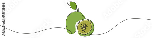 Lime in one line art style. Drawing of a whole lime and its cut half, with editable black stroke and color on white background. Vector illustration.