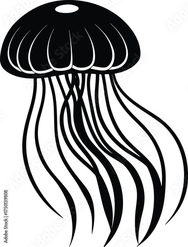 Elegant abstract swirling light trails creating a cosmic nebula formation isolated on transparent background