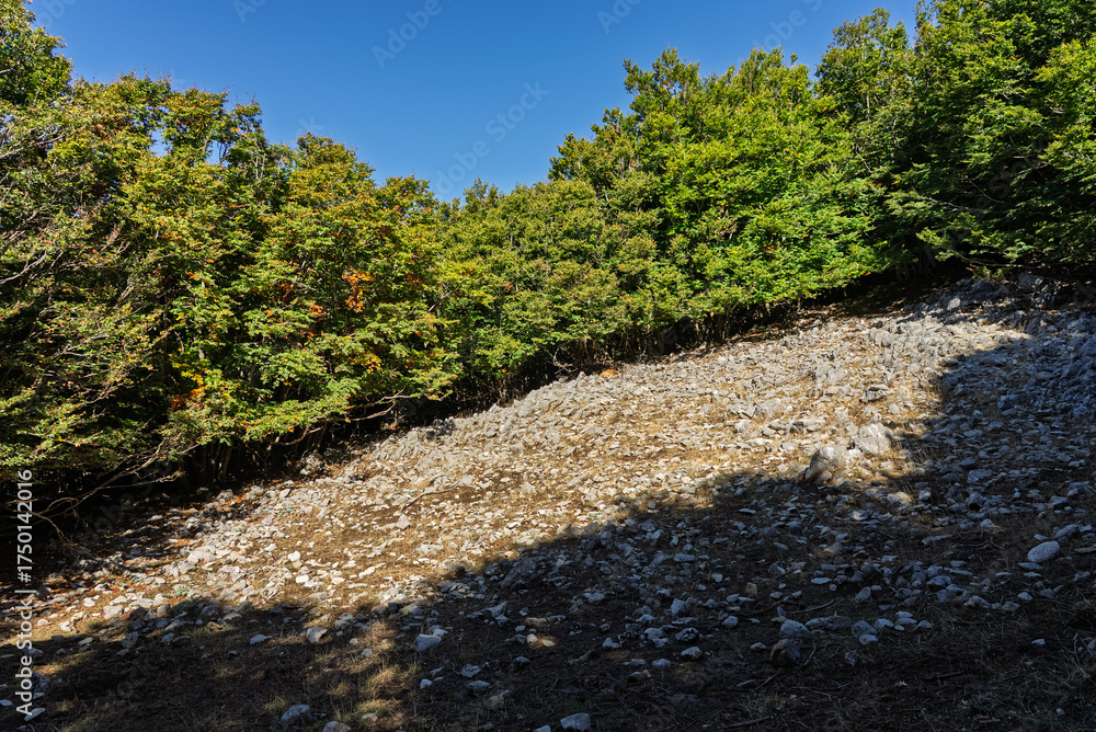 Obraz premium Red Trail on Pizzo Carbonara, the highest peak of Piano Battaglia, featuring panoramic mountain landscapes, rugged peaks, and scenic vistas in the Madonie Mountains, Sicily, Italy Carbonara mountain