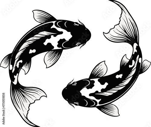Two Koi Fish Silhouette Vector