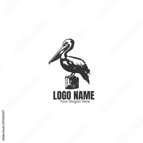 Pelican vector illustration