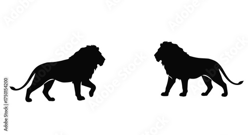 Two majestic lions facing each other in a striking black silhouette