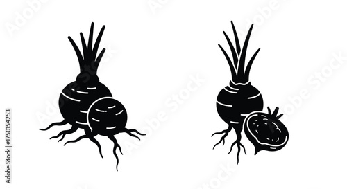 Black and white illustration of two radishes one split in half