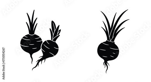 Simple black and white illustration of three fresh beetroots with leaves