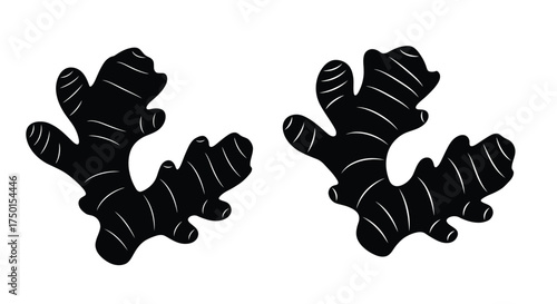 Two pieces of fresh ginger root illustrated in a simple black and white style