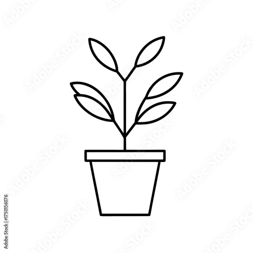 Outline drawing of a plant in a pot with six leaves on transparent background