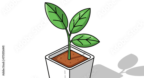 Wifi icon set with different security options