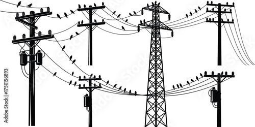 utility, pole, transmission, tower, power, line, electricity, grid, bird, silhouette, urban, rural, infrastructure, vector, illustration, design, network, energy, distribution, public, structure