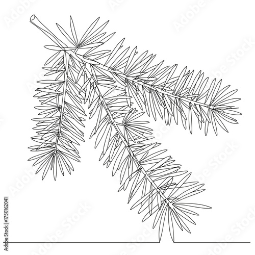 Pine branch line art in black for Christmas or botanical design