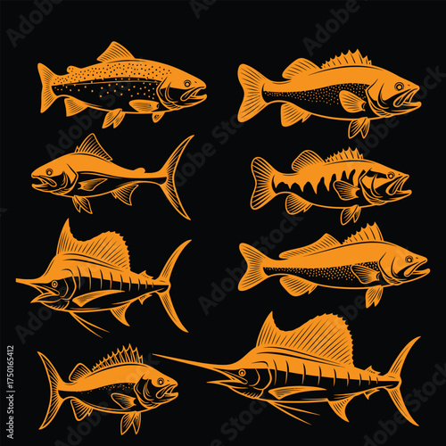 Vector Illustration of Different Fish Species trout bass sailfish orange black animal sea ocean wildlife fishing marine nature aquatic