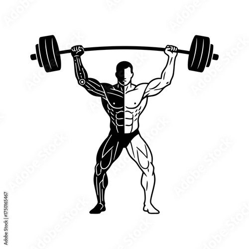 Weightlifting vector art of weightlifter lifting barbell, half dark and half light