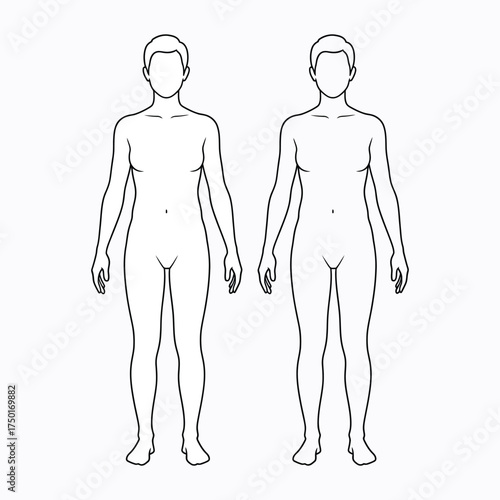 Simple outline of two human figures one male and one female front view