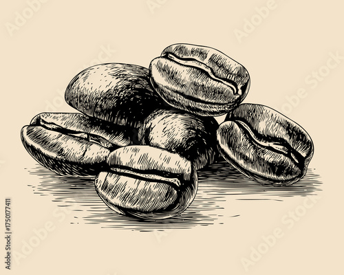 Artistic Illustration of A Pile of Roasted Coffee Beans in Vintage Style