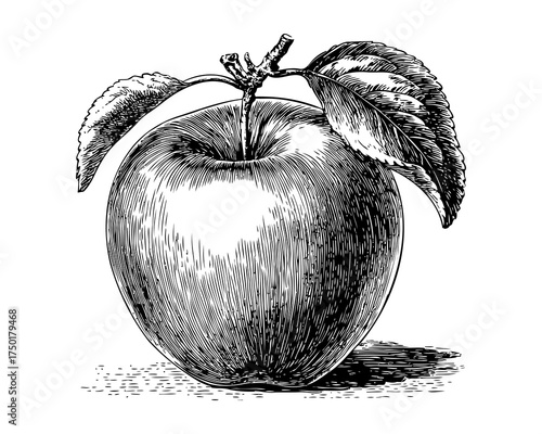 Black and White Illustration of a Single Apple with Leaves Against a Plain Background