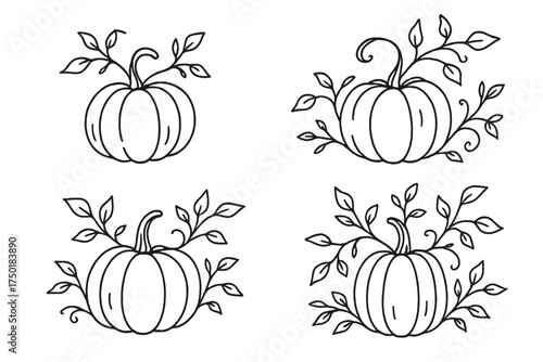 Autumn vegetables linear icon set. featuring pumpkin, squash, and harvest symbols