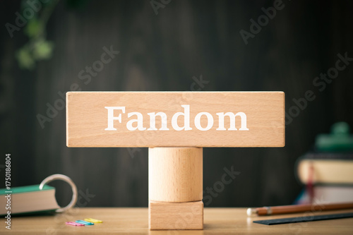 Εκτύπωση καμβά There is wood block with the word Fandom