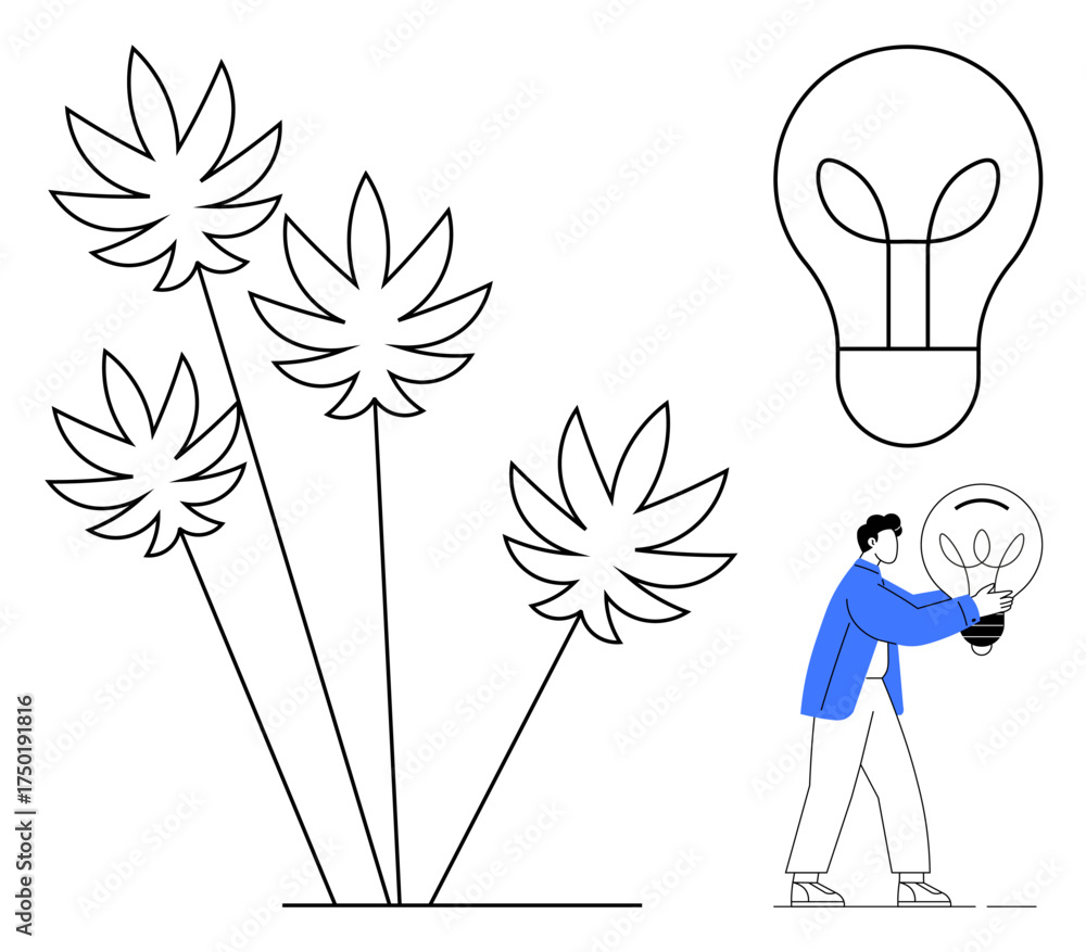 Naklejka premium Cannabis plants and light bulbs signifying renewable energy. Person holding a bulb symbolizes green innovation. Ideal for sustainability, renewable energy, eco-friendly ideas, nature, creativity