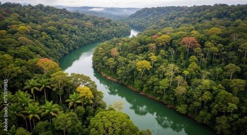 Serene Emerald River Winding Through Lush, Dense Rainforest Canopy Under Misty Skies