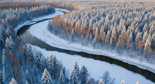 Serene Winter Aerial View of a Winding River Through a Snow-Covered Pine Forest
