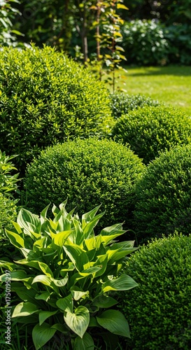 A meticulously maintained flowerbed, showcasing vibrant green foliage and various plant textures. A beautiful garden detail in bright sunlight ,detail ,fresh ,cultivation