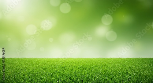 A tranquil and expansive vista of lush, vibrant green grass under a soft, diffused light, embodying natural perfection and serene beauty ,pristine ,flourishing ,fresh