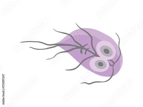 Protozoa Parasite Giardia Lamblia Illustration
