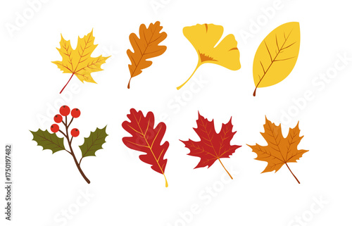 autumn leaves vector illustration