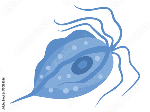 Trichomonas Vaginalis Parasite Clip Art
