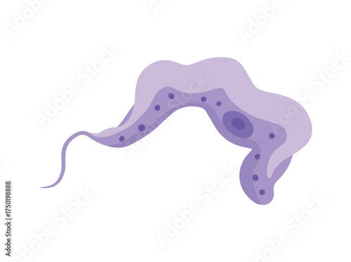 Trypanasoma Gambiense Parasite Clip Art
