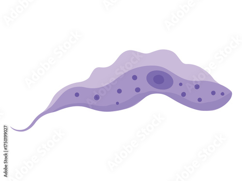 Trypanosoma Cruzi Parasite Clip Art
