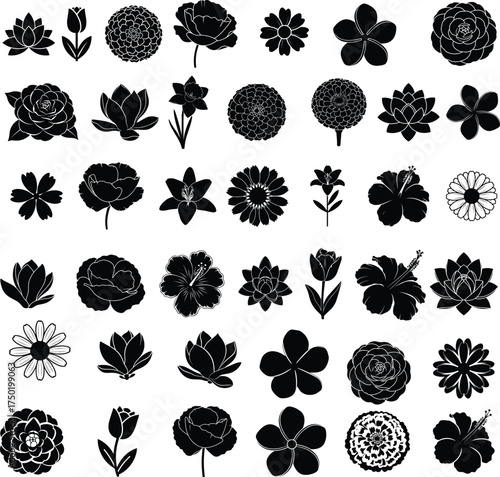 Elegant floral silhouettes collection for stunning botanical designs Bundle