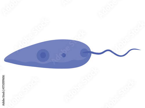 Leishmania Parasite illustration