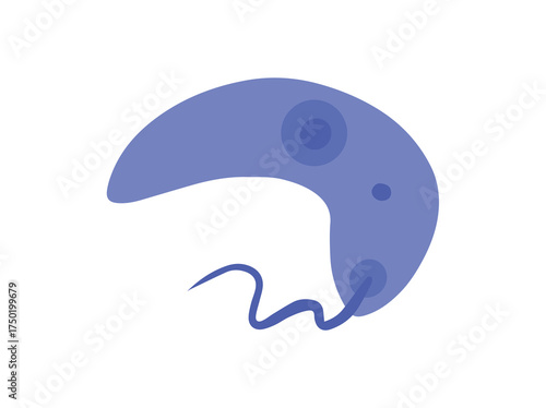 Leishmania Donovani Parasite Clip Art