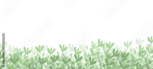 Floral web banner with drawn color exotic leaves. Nature concept design. Modern floral compositions with summer branches. Vector illustration on the theme of ecology, natura, environment. Copy space.
