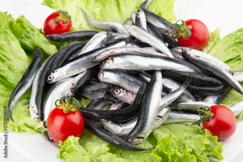 Anchovy