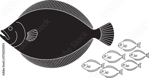 Flatfish silhouette vector illustration with small fish outlines - large flounder icon and shoal of fry